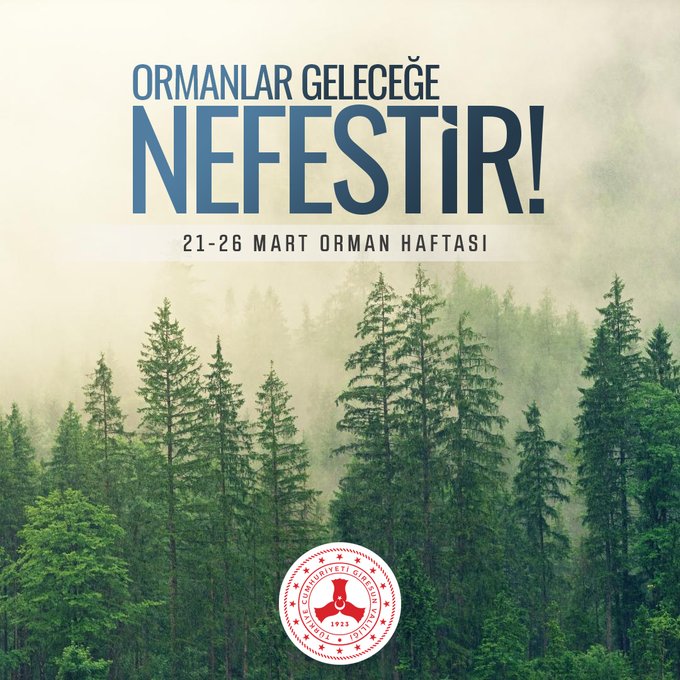 Sayın Valimiz Mehmet Fatih Serdengeçti'nin Dünya Ormancılık Günü Paylaşımı
